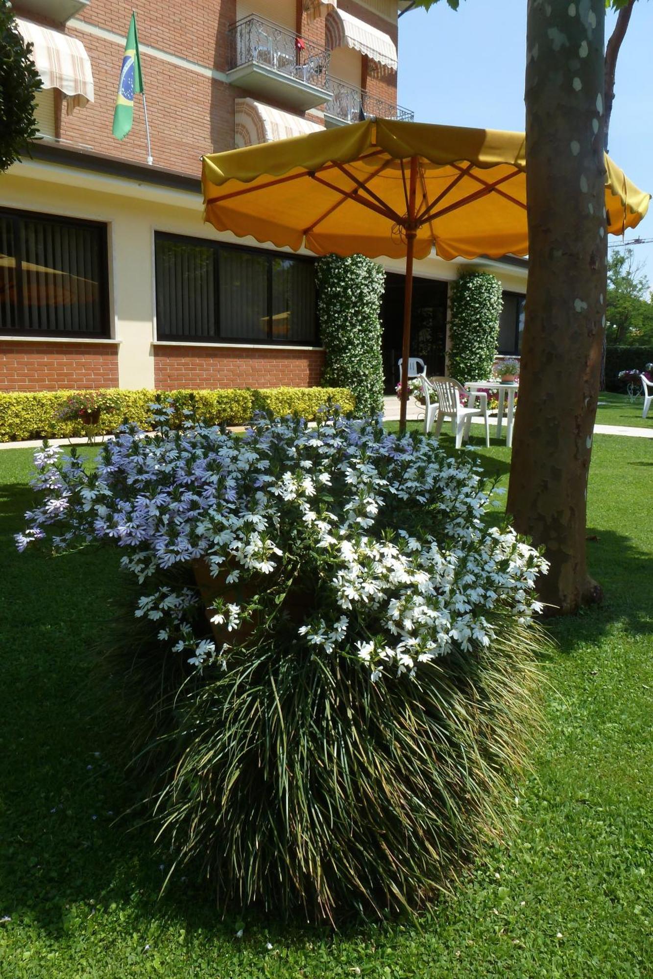 Hotel Versilia Lido di Camaiore Ngoại thất bức ảnh