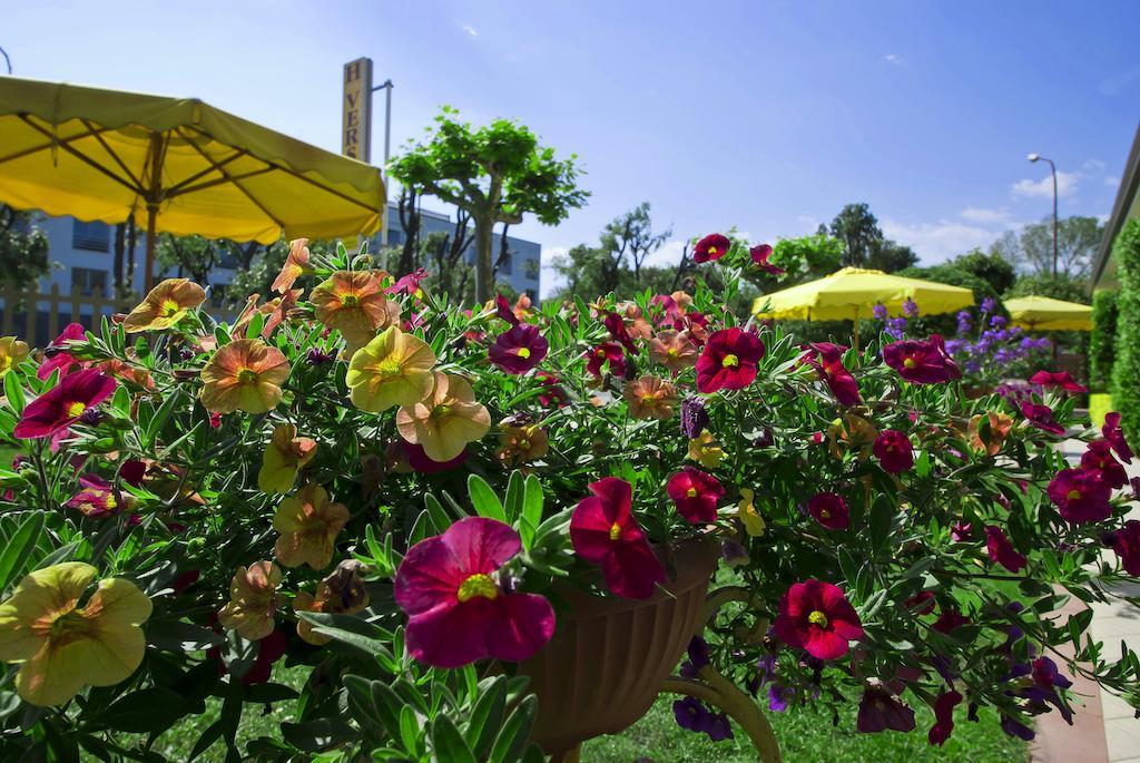 Hotel Versilia Lido di Camaiore Ngoại thất bức ảnh