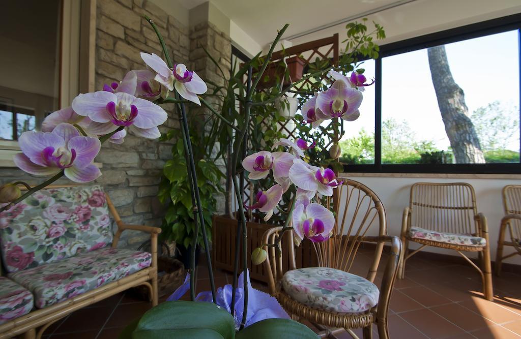 Hotel Versilia Lido di Camaiore Ngoại thất bức ảnh